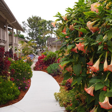 Beach Creek Apartments