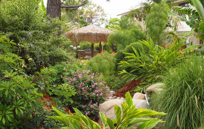 Transport Your Garden to the Tropics