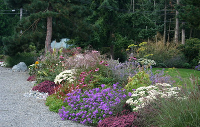How to Design a Colorful Flower Bed