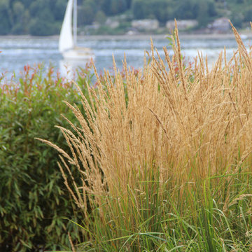 Beach House, Bainbridge Island