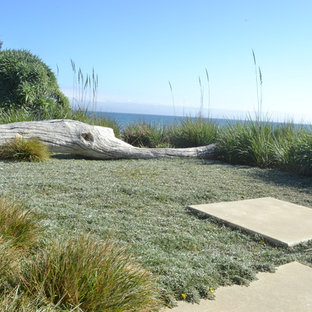 Inspiration for a coastal full sun backyard landscaping in San Luis Obispo.