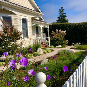 Beachy Victorian