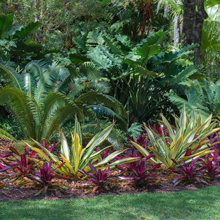 Idee per un grande giardino tropicale esposto a mezz'ombra davanti casa