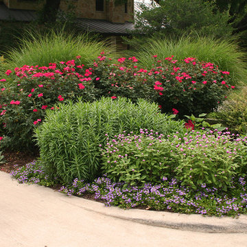 Beautiful Blooming Borders