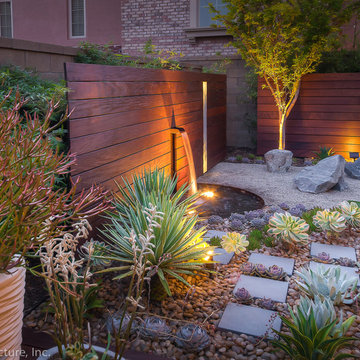 Beautiful Desert Succulent Zen Garden