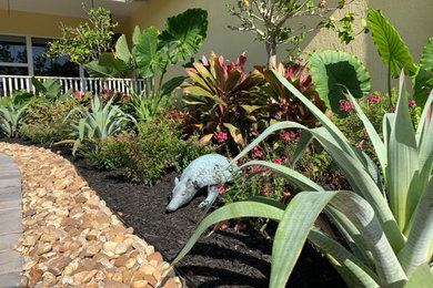 Inspiration for a small tropical full sun front yard gravel landscaping in Miami.