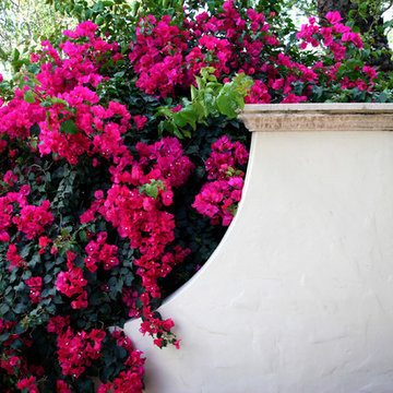 Beautiful Entrance