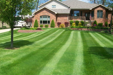 BEAUTIFUL LAWNS