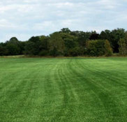 ROYAL GREEN SOD FARM - Project Photos & Reviews - Kansasville, WI