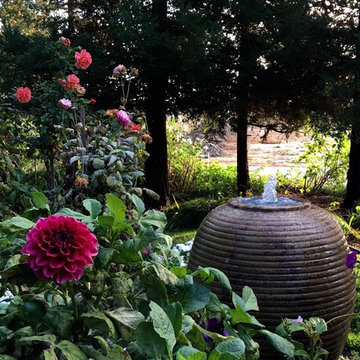 Beautiful pond,  pool,pergola and garden