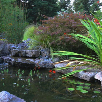 Beautiful pond,  pool,pergola and garden