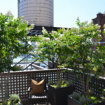 Beekman Penthouse Terrace