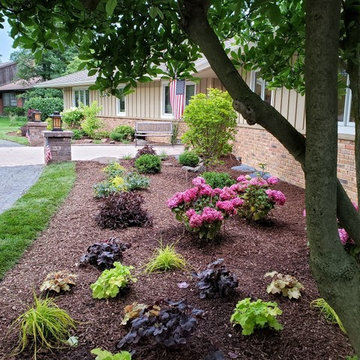 Before and After - curb appeal, boxwoods