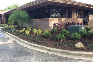 Photo of a traditional landscaping in Orlando.