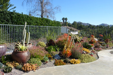 Cette image montre un grand jardin arrière traditionnel avec une exposition ensoleillée et des pavés en pierre naturelle.