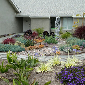 75 Beautiful Transitional Drought Tolerant Landscaping Pictures Ideas December 2021 Houzz