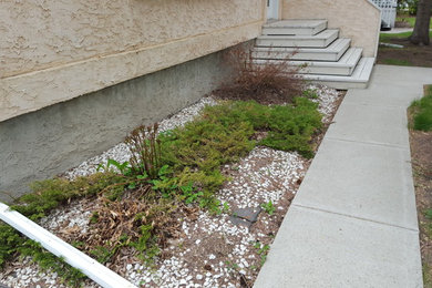 This is an example of a traditional landscaping in Edmonton.
