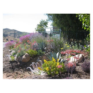 Before & After Transformations - Traditional - Landscape - Orange