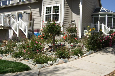 オレンジカウンティにある中くらいなトラディショナルスタイルのおしゃれな庭 (庭への小道、コンクリート敷き	) の写真
