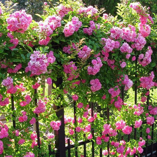 Foto di un giardino classico