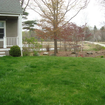 Before lawn removal and installation of water feature