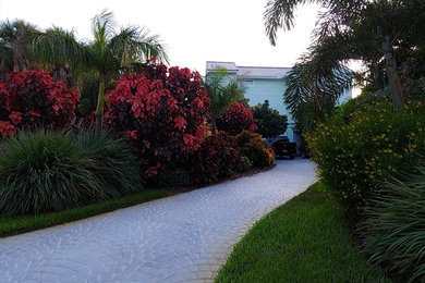 Garten in Tampa