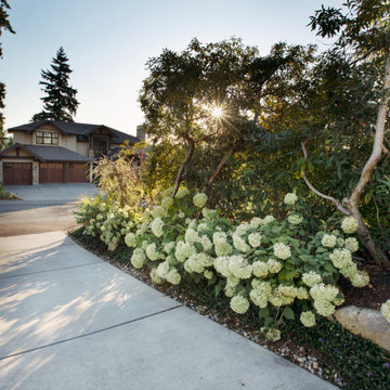 Bellevue Northwest Modern Garden