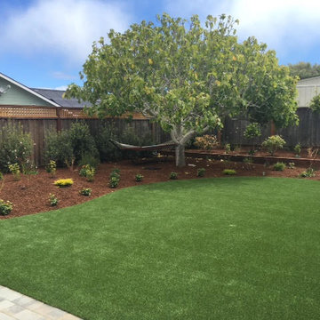 Belmont - back garden, drought tolerant plants and synthetic lawn