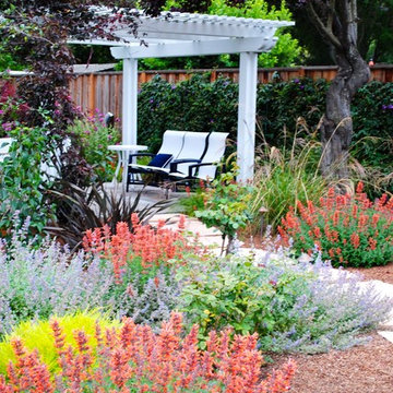 Belmont drought tolerant Cottage garden