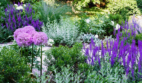 Silvery Plants Brighten Garden Beds