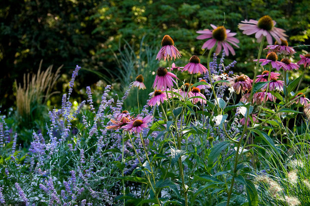 Contemporary Garden by Matthew Cunningham Landscape Design LLC