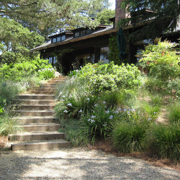 Berkeley garden
