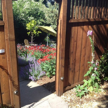 Berkeley Hills Garden
