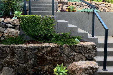 Photo of a contemporary landscaping in San Francisco.