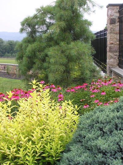 Traditional Landscape by The Outdoor Room, LLC