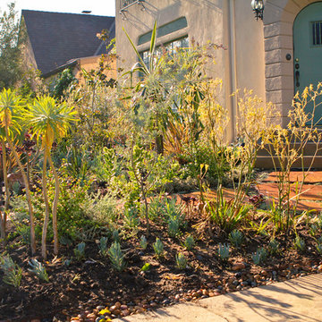 Beverly Grove,   Monet Drought Tolerant Garden -Front Yard