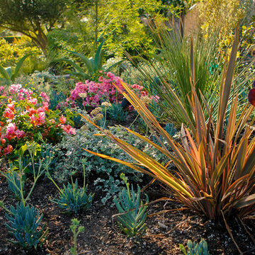 Beverly Grove,   Monet Drought Tolerant Garden -Front Yard