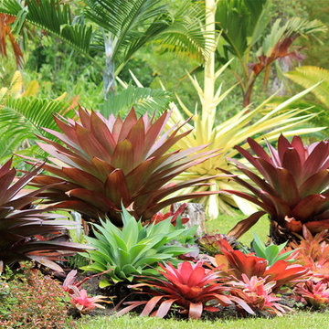 Big Island Botanical Retreat