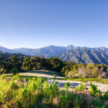 Big Sur Coast Ridge Estate