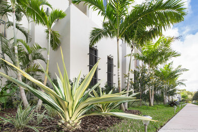 Garden in Miami.
