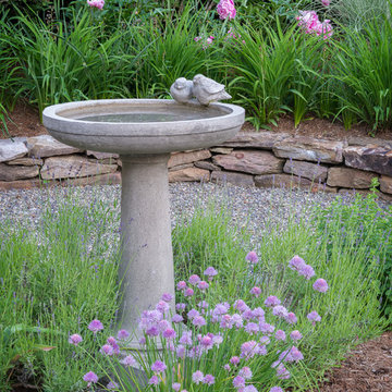 Bird bath amongst lavender and flowering chives