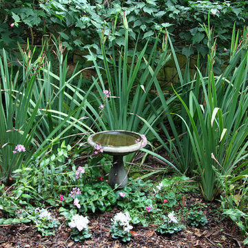 Bird Bath in Garden