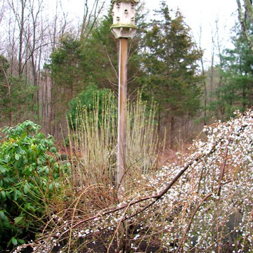Birdhouse in woodland setting.
