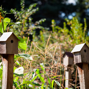 Birdhouses Surround Edible Garden