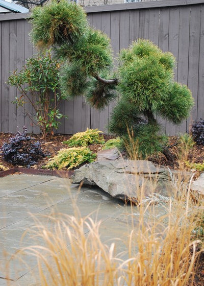 Contemporary Landscape by Jay Sifford Garden Design