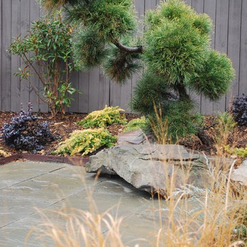 Black pine, boulders, patio and switchgrass.