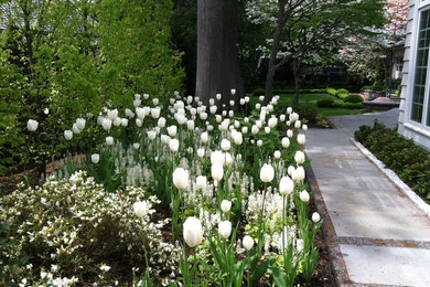 Modelo de jardín clásico en primavera en patio lateral con adoquines de piedra natural