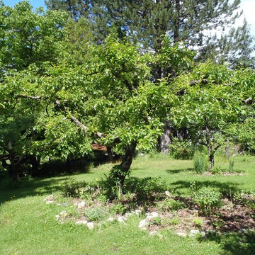 Blewett Acres Orchard & Edible Garden