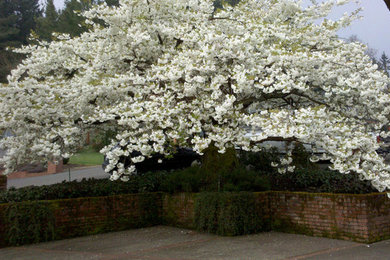 На фото: весенний участок и сад на переднем дворе в классическом стиле