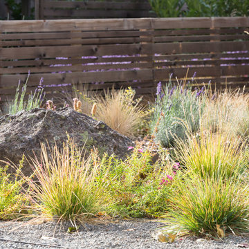 Blooming Perennial Garden with Modern Fencing